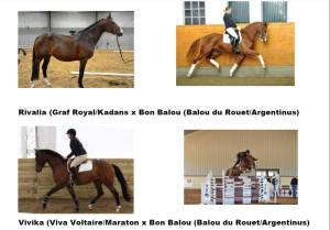 10593116_628411487256083_1648922474284333166_n