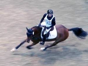 12212041_10153102903491990_88607240_n