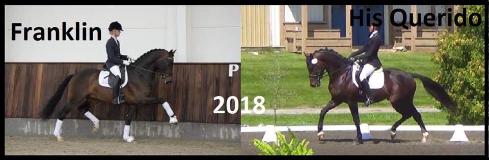 expected2018 foals