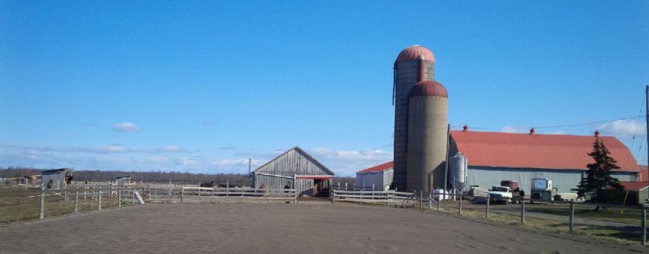 IMG_20180401_100656_edit