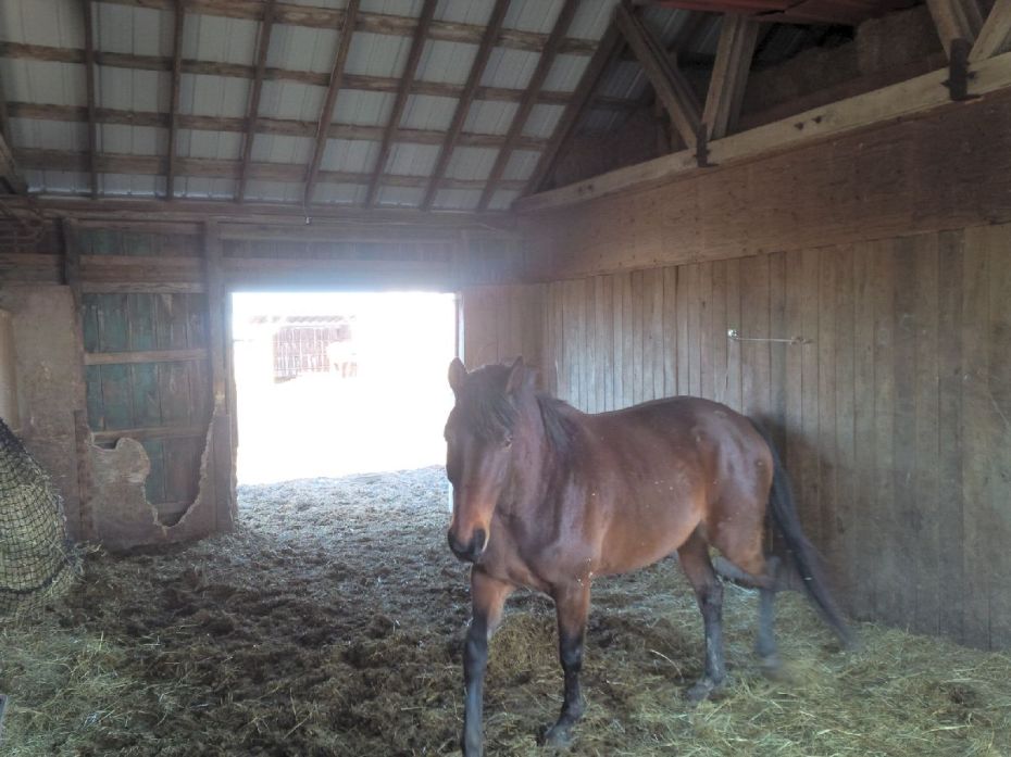 IMG_20180401_101317_edit