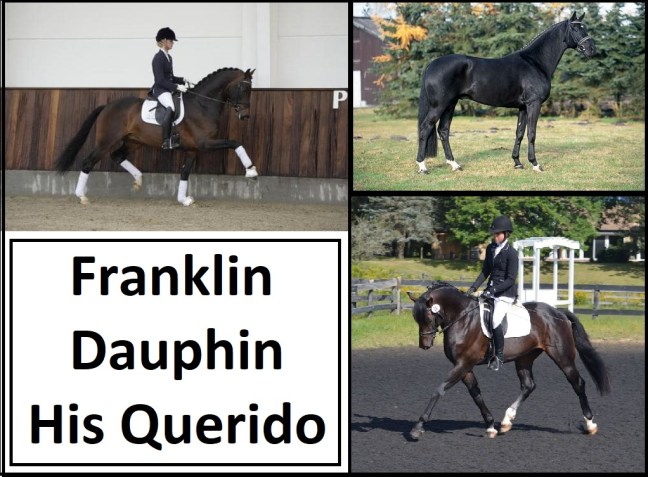 foals expected in 2019