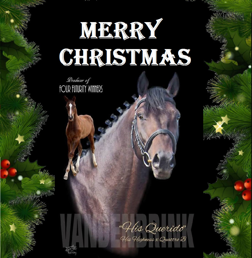 Hans and VandenBrink Warmbloods Christmas Card.png